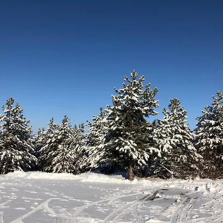 Ξενοδοχείο Комплекс Кралско Село 2*